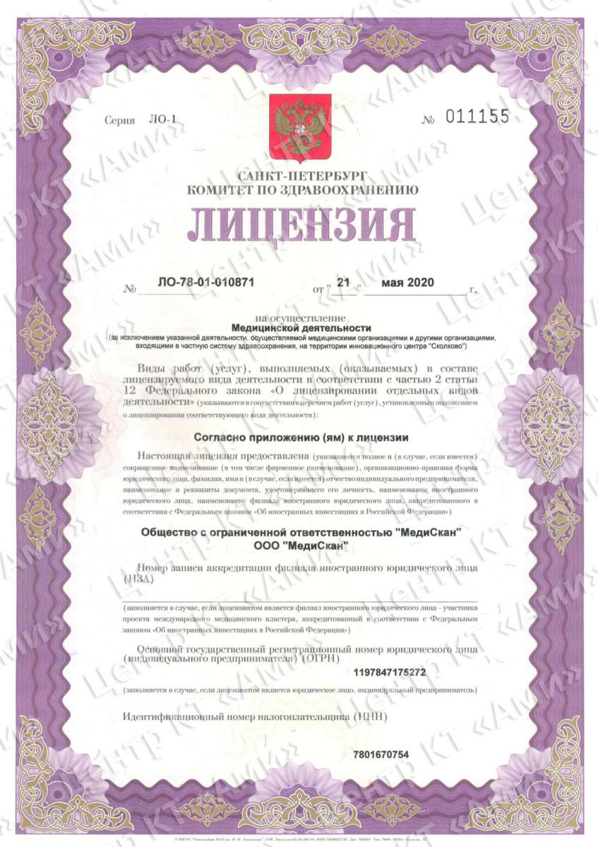 Лицензия Ами