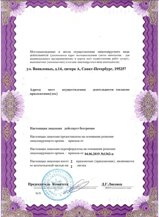Лицензия Елизаветинская больница