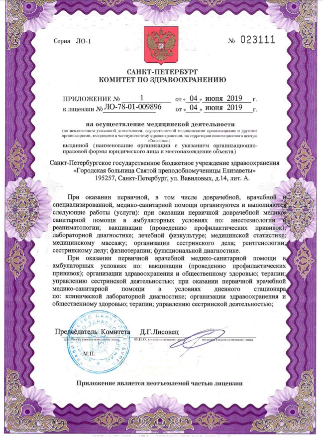 Лицензия Елизаветинская больница