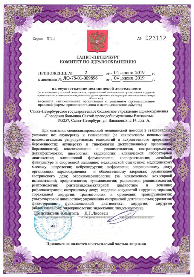 Лицензия Елизаветинская больница