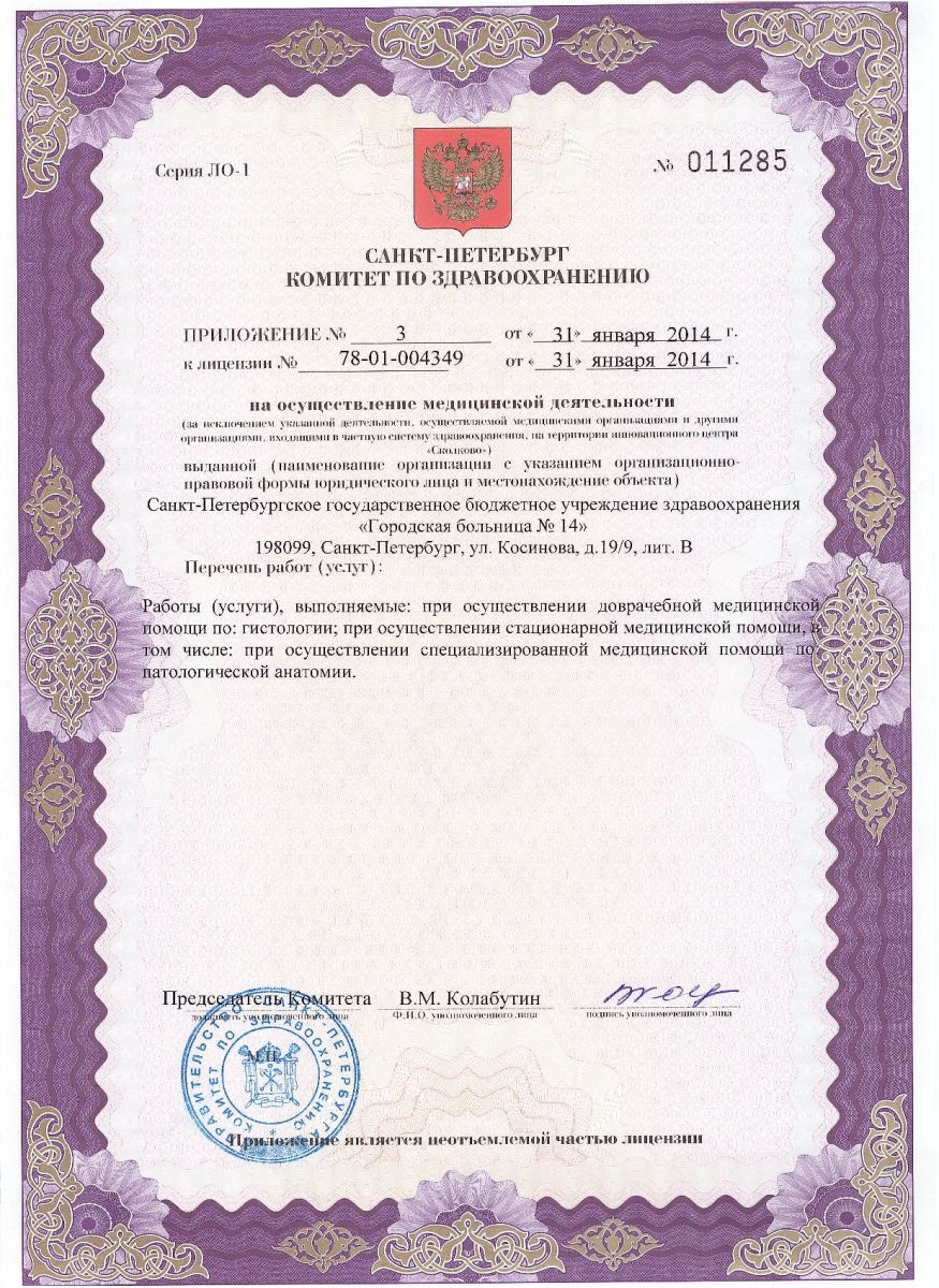 Лицензия Городская больница 14 на Косинова