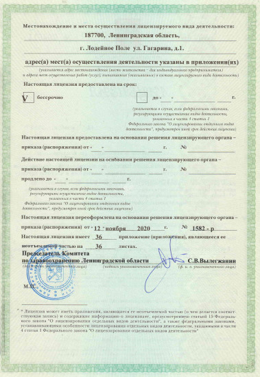 Лицензия Районная больница в Лодейном поле
