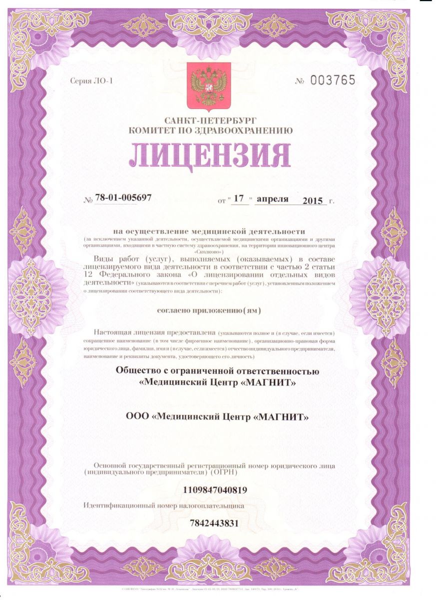 Лицензия Магнит