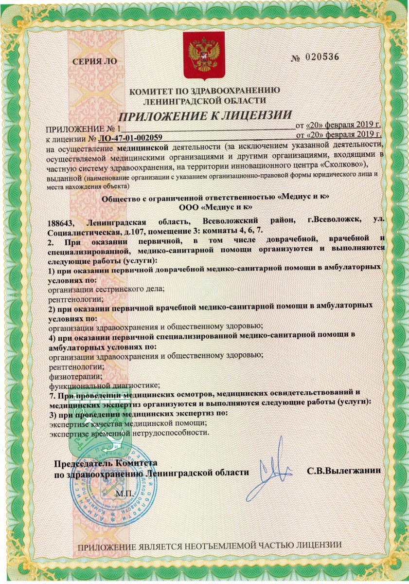 Лицензия Медиус