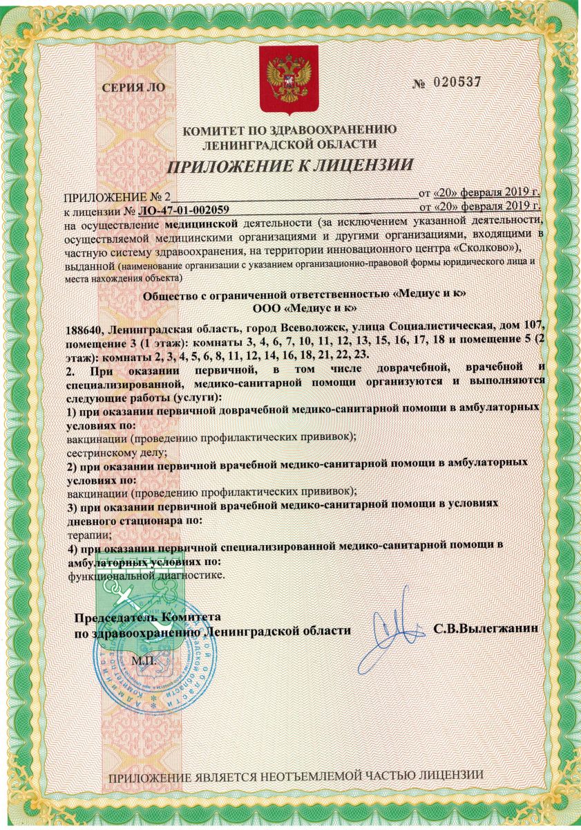 Лицензия Медиус