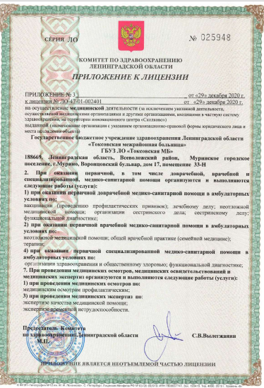 Лицензия Токсовская межрайонная больница