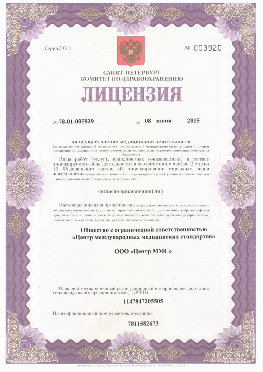 Лицензия Стандарт
