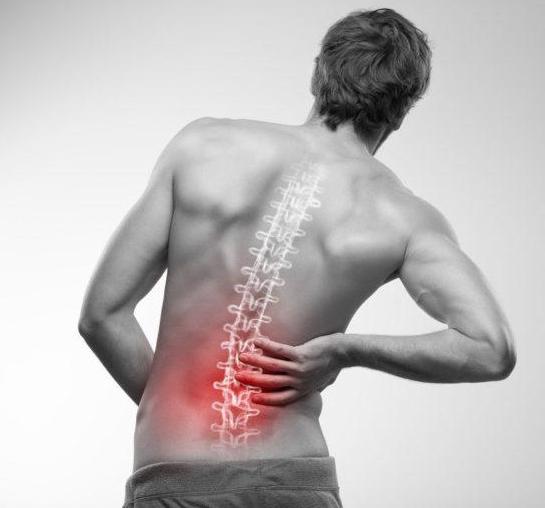 УЗИ позвоночника - эффективный способ обнаружения причин болей в спине