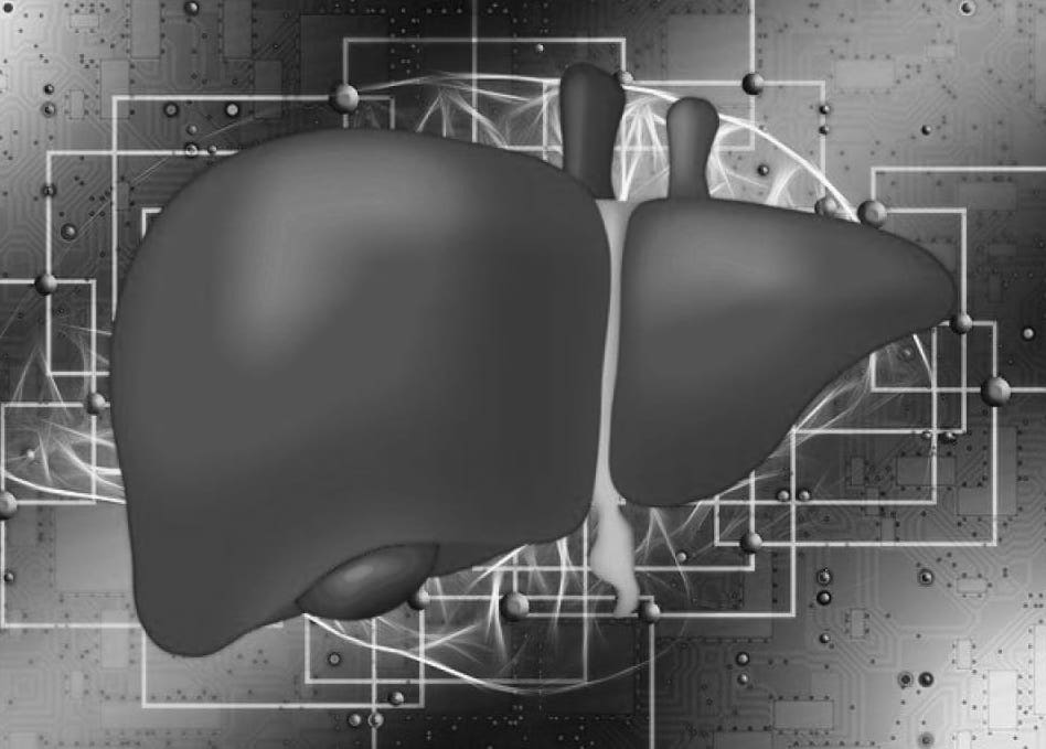 Сцинтиграфия печени - процедура, показания, противопоказания, результаты